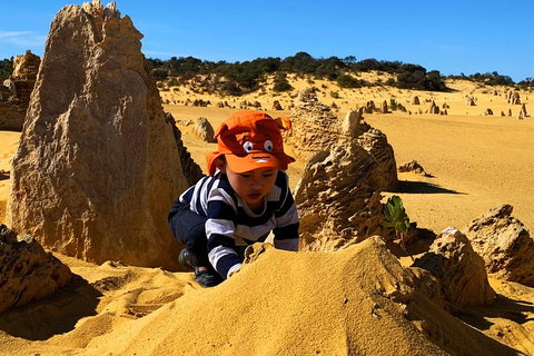 Perth Kids Explorer (Private) Day Tour - Coogee Beach Accommodation 3