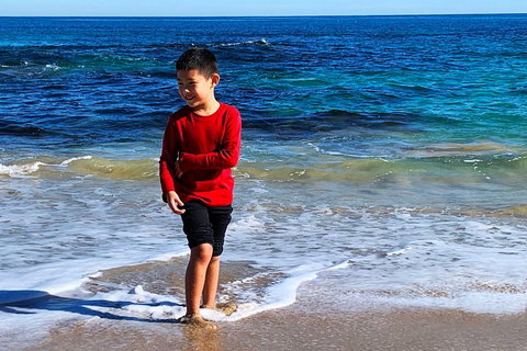 Perth Kids Explorer (Private) Day Tour - Coogee Beach Accommodation 4