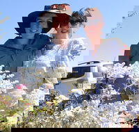 Spring Wildflower Private Day Tours - Coogee Beach Accommodation