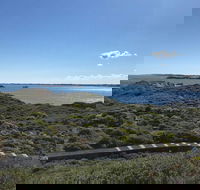 Penguin Island And Fremantle - Canoe Chocolate  Coffee - Coogee Beach Accommodation