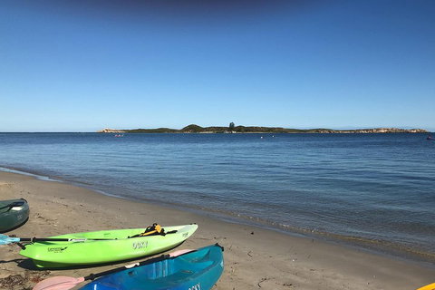 Penguin Island And Fremantle - Canoe, Chocolate & Coffee - Coogee Beach Accommodation 2