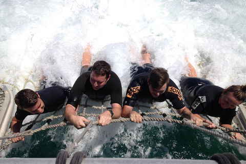 Cruise In Moreton Bay Marine Park And Moreton Island - Coogee Beach Accommodation 0