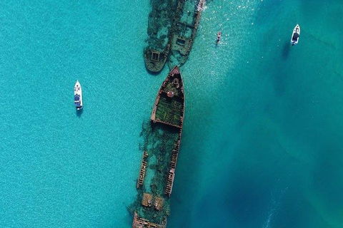 Cruise In Moreton Bay Marine Park And Moreton Island - Coogee Beach Accommodation 1