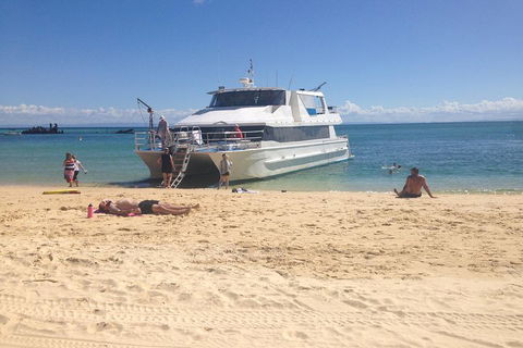 Cruise In Moreton Bay Marine Park And Moreton Island - Coogee Beach Accommodation 4