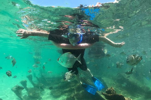 Cruise In Moreton Bay Marine Park And Moreton Island - Coogee Beach Accommodation 5