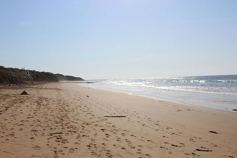 Learn To Surf At The Great Ocean Road - Coogee Beach Accommodation 1
