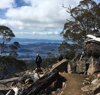 kunanyi / Mt Wellington Explorer Bus - 2 Hour Return Tour - Coogee Beach Accommodation