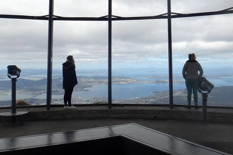 Kunanyi / Mt Wellington Explorer Bus - 2 Hour Return Tour - Coogee Beach Accommodation 1