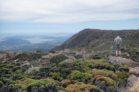 Kunanyi / Mt Wellington Explorer Bus - 2 Hour Return Tour - Coogee Beach Accommodation 3