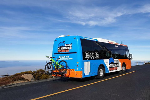 Kunanyi / Mt Wellington Explorer Bus - 2 Hour Return Tour - Coogee Beach Accommodation 4