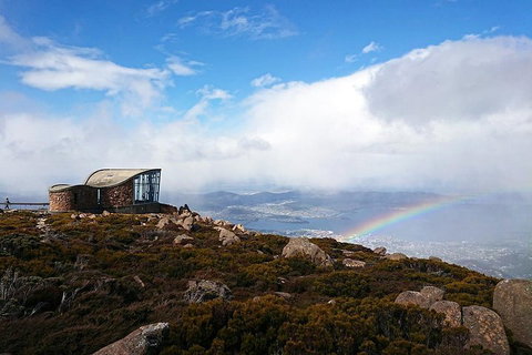 Kunanyi / Mt Wellington Explorer Bus - 2 Hour Return Tour - Coogee Beach Accommodation 5