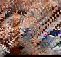 Private Tour Jenolan Caves  Blue Mountains in a day - Coogee Beach Accommodation