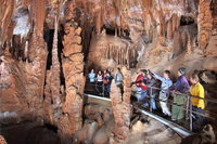 Private Tour Jenolan Caves  Blue Mountains in a day, Sydney