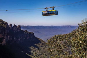 Private Guided: Blue Mountains Hiking & Nature Tour