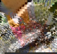 Gay-Wu Woman's 5 Day Yolngu Homeland Tour - Coogee Beach Accommodation