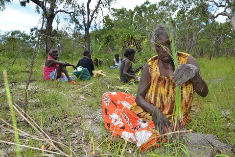 Gay-Wu Woman's 5 Day Yolngu Homeland Tour - Coogee Beach Accommodation 2