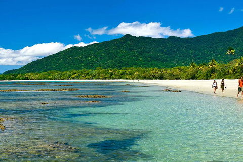 8-Day Cairns Tour: Great Barrier Reef, Kuranda, Daintree Rainforest - Coogee Beach Accommodation 0