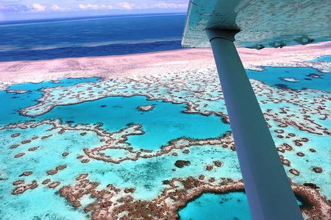 8-Day Cairns Tour: Great Barrier Reef, Kuranda, Daintree Rainforest - Coogee Beach Accommodation 2