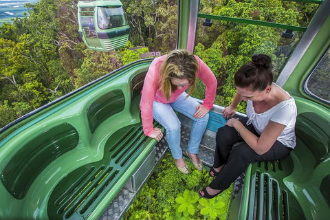 8-Day Cairns Tour: Great Barrier Reef, Kuranda, Daintree Rainforest - Coogee Beach Accommodation 3