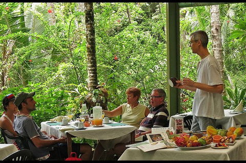 8-Day Cairns Tour: Great Barrier Reef, Kuranda, Daintree Rainforest - Coogee Beach Accommodation 4