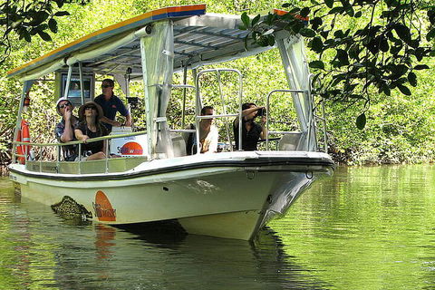 8-Day Cairns Tour: Great Barrier Reef, Kuranda, Daintree Rainforest - Coogee Beach Accommodation 5