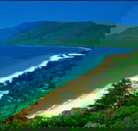 Cairns Reef and Rainforest Combo Daintree Rainforest and the Great Barrier Reef - Coogee Beach Accommodation