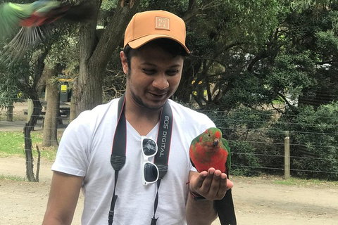 Full-Day Great Ocean Road Small-Group Tour From Melbourne - Coogee Beach Accommodation 0