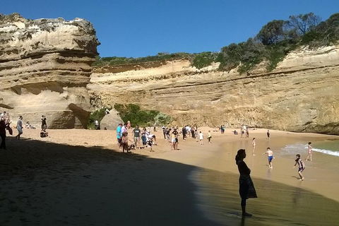 Great Ocean Road Full Day Private Experience - Coogee Beach Accommodation 3