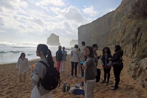 Great Ocean Road Full Day Private Experience - Coogee Beach Accommodation 4