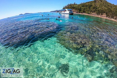 Whitehaven Beach Day Tour With Snorkel In Whitsundays Island - Coogee Beach Accommodation 5