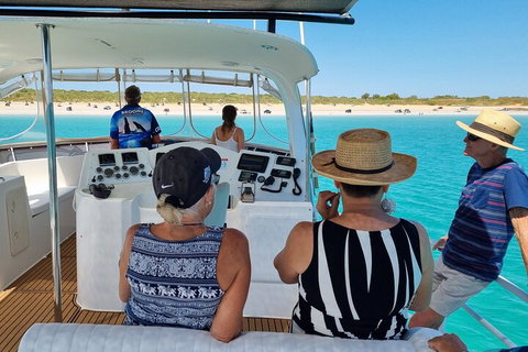 Snubfin Dolphin Eco Cruise From Broome - Coogee Beach Accommodation 5