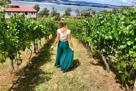Tamar Valley Wine Tour With Lunch - Coogee Beach Accommodation 2