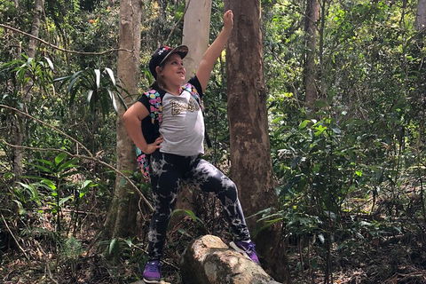 Natural Bridge, Skywalk And Mt Tamborine Adventure! - Coogee Beach Accommodation 3