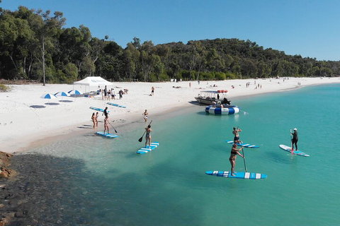 Whitehaven Beach Club - Coogee Beach Accommodation 4