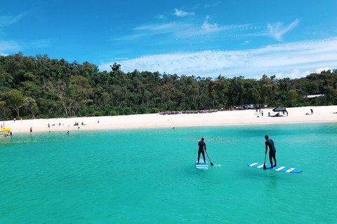Whitehaven Beach Club - Coogee Beach Accommodation 5