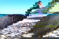 The Paronella Experience, Cairns