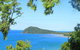 Full Day Tour In The Daintree - thumb 1