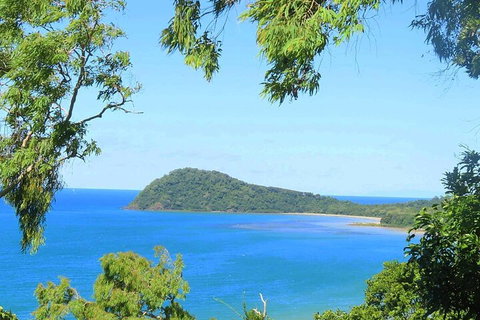 Full Day Tour In The Daintree - Coogee Beach Accommodation 1