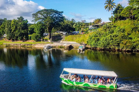 Full Day Tour In The Daintree - Coogee Beach Accommodation 2