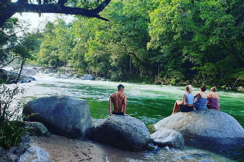 Full Day Tour In The Daintree - Coogee Beach Accommodation 3