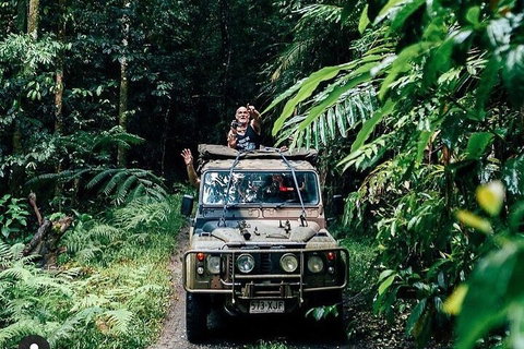 Full Day Tour In The Daintree - Coogee Beach Accommodation 4