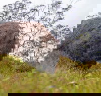 3-Day Cradle Mountain Photography Workshop - Coogee Beach Accommodation