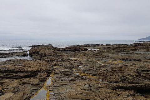 Luxury Private Great Ocean Road Tour Up To 11 People - Entire Vehicle - Coogee Beach Accommodation 1