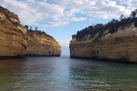Luxury Private Great Ocean Road Tour Up To 11 People - Entire Vehicle - Coogee Beach Accommodation 2