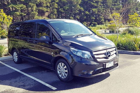 Luxury Private Great Ocean Road Tour Up To 11 People - Entire Vehicle - Coogee Beach Accommodation 3