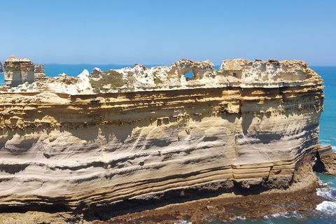 Luxury Private Great Ocean Road Tour Up To 11 People - Entire Vehicle - Coogee Beach Accommodation 4