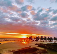 1 Hour Broome Sunset Camel Tour - Coogee Beach Accommodation