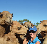 Broome Pre-sunset Camel Tour 30 minutes - Coogee Beach Accommodation