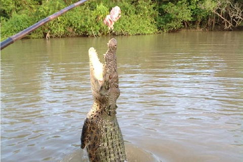 Litchfield National Park And Jumping Crocodile Cruise - Coogee Beach Accommodation 2