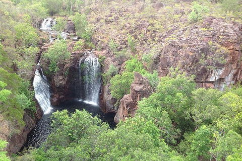 Litchfield National Park And Jumping Crocodile Cruise - Coogee Beach Accommodation 4